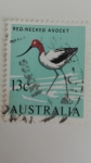 Stamps Australia -  Pajaros