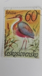 Stamps Czechoslovakia -  Pajaros
