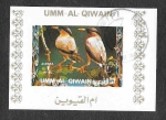 Stamps United Arab Emirates -  Mi1409BwBl - Aves