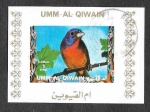 Stamps United Arab Emirates -  Mi1247BwBl - Ave
