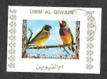 Stamps United Arab Emirates -  Mi1415BwBl - Aves
