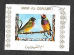 Sellos de Asia - Emiratos rabes Unidos -  Mi1415BwBl - Aves