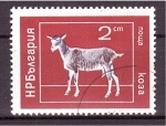 Stamps Bulgaria -  serie- Animales domesticos
