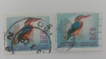 Sellos de Africa - Sud�frica -  Natal Kingfisher