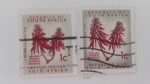 Stamps South Africa -  Erythrina Lysistenion