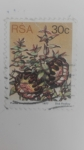 Stamps South Africa -  Protea Amplexicaulis