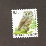 Stamps Belgium -  Ave Lechuza boreal