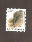 Stamps Belgium -  Vencejo