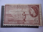 Stamps Barbados -  Pescador- Atarraya- red de Lanzamiento.