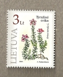 Sellos de Europa - Lituania -  Erica tetralis