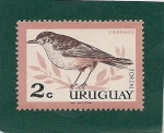 Stamps Uruguay -  Zorzal