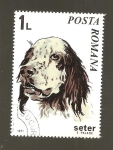 Stamps Romania -  INTERCAMBIO