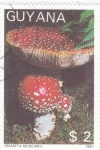 Sellos de America - Guyana -  SETAS-Amanita muscaria 