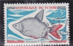 Stamps : Africa : Chad :  PEZ-CITHARINUS LATUS