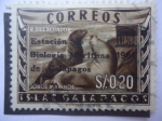 Stamps Ecuador -  Lobos Marinos de América del Sur- Estación de Biológía Marítima de Islas Galápagos