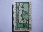 Stamps Czechoslovakia -  Campeonato Mundial de Futbol - Chile 196 - Portero de Fútbol.
