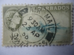Stamps America - Barbados -  Flying Fish - Pez Volador (Exocoetidae)