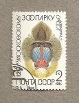 Stamps Russia -  Zoo de Moscú, mandril