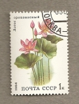 Sellos de Europa - Rusia -  Plantas acuáticas, Lotus