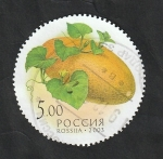 Sellos de Europa - Rusia -  6749 - Fruta, Melón