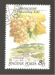 Stamps Hungary -  INTERCAMBIO