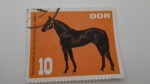 Sellos del Mundo : Europa : Alemania : Caballos /DDR