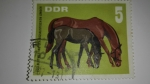 Stamps : Europe : Germany :  Caballos /DDR