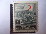 Stamps Turkey -  Kizilay Dernegi - Hospital - Sociedad de la media Luna Roja.