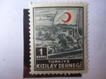 Sellos de Asia - Turqua -  Kizilay Dernegi - Hospital - Sociedad de la media Luna Roja.