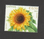 Stamps Latvia -  Girasol