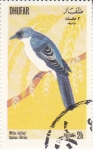 Stamps Oman -  AVES DEL PARAÍSO 