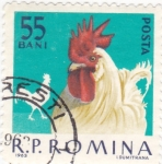 Stamps Romania -  AVES DE CORRAL