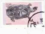 Stamps Oman -  TORTUGA