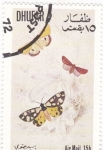 Stamps Oman -  mariposa- metamorfosis