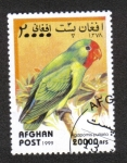 Stamps : Asia : Afghanistan :  Loros, Lovebird De Cara Roja (Agapornis pullarius)