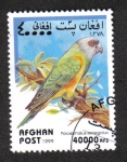 Sellos de Asia - Afganist�n -  Loros, Loro de senegal (poicephalus senegalus)