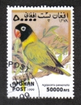 Stamps Afghanistan -  Loros, Enamorado Enmascarado (Agapornis personatus)