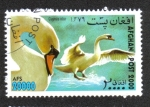 Stamps Afghanistan -  Exposición Internacional de Estampillas WIPA '00, Viena. Cisne mudo (Cygnus olor) 