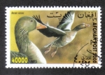 Stamps Afghanistan -  Exposición Internacional de Estampillas WIPA '00, Viena. Ganso De Greylag (Anser Anser) 