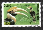 Stamps Afghanistan -  Exposición Internacional de Estampillas WIPA '00, Viena. Gran Hornbill (Buceros bicornis) 