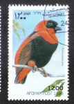 Stamps : Asia : Afghanistan :  Pájaros, Obispo Rojo (Pyromelana Orix)