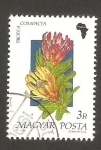 Stamps Hungary -  3265 - Flor protea compacta