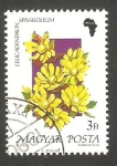 Stamps Hungary -  3264 - Flor leucadendron  spissifolium