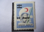 Stamps : Asia : Turkey :  Sociedad de la Media Luna Roja 1956