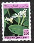 Stamps Afghanistan -  Plantas Acuaticas, Waterblommetjie (Aponogeton distachyos)