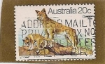 Sellos de Oceania - Australia -  Dingo
