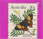 Stamps Australia -  Mariposa