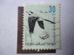 Stamps Israel -  White Wagtail - Lavandera Blanca - Serie: Pajaros Cantores.