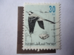 Sellos de Asia - Israel -  White Wagtail - Lavandera Blanca - Serie: Pajaros Cantores.