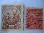 Stamps : Europe : Albania :  Sellos de la Colonia- King George V - Barbados - 1/4d. postage & revenue.